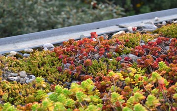 the cost of Ruston Parva green roof installation