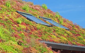 Ruston Parva living roof systems