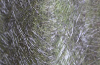 Ruston Parva fibreglass roof work